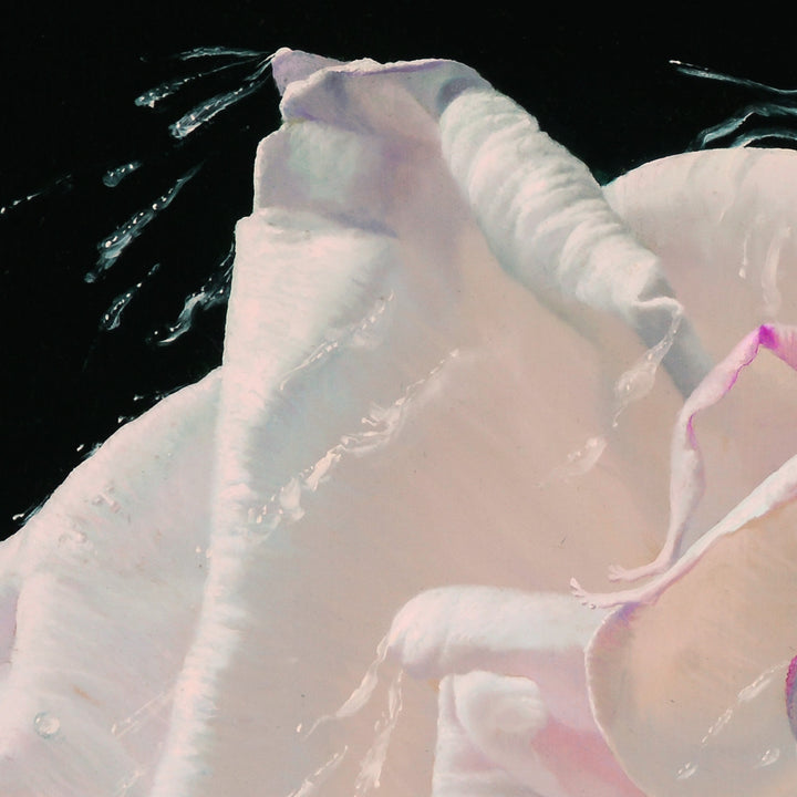 Aphrodites Dream 44x44 Giclee Edition Limitée sur Toile