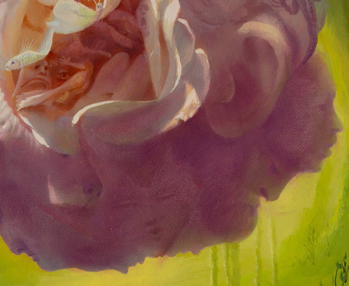 Darwins_Dream-real-fragment-11x9-9-the one in the shadows is always below