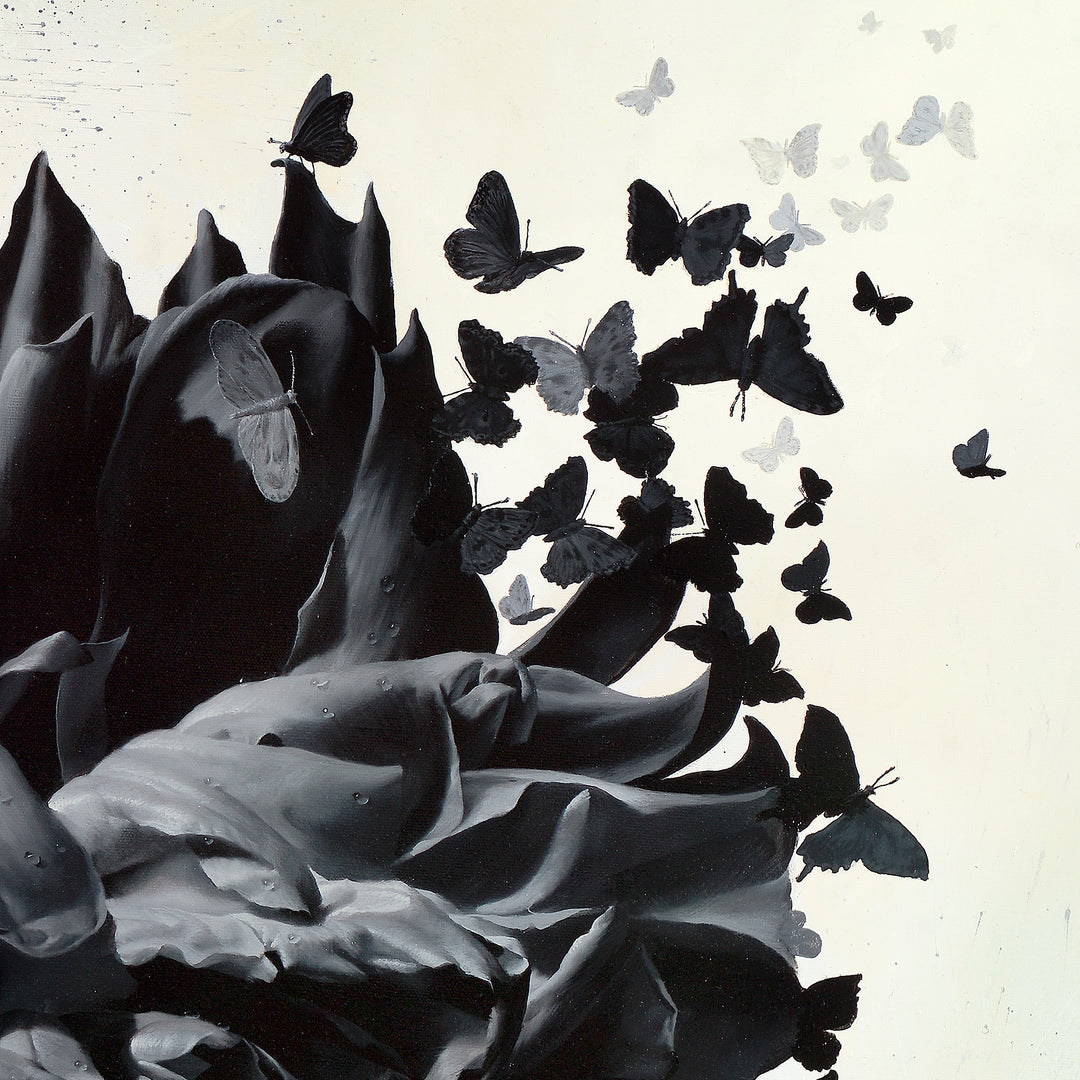 Dichotomy-fragment-15x15-2_7-black butterflies