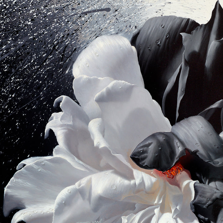 Dichotomie 40"x40" Giclée Édition Limitée sur Toile