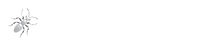 logo of Alexey Antonov and his website Antonovart.com