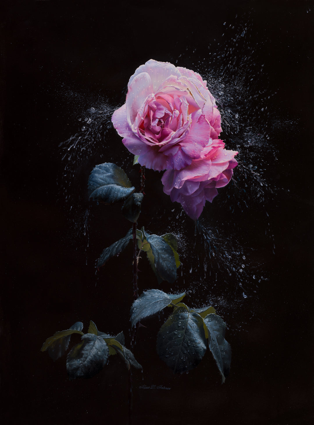 the world of roses works like this