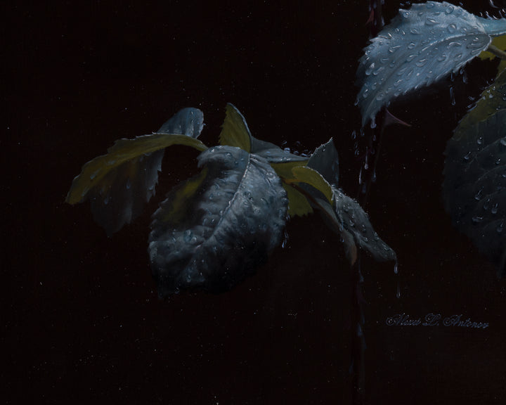 joy-fragment-20x16-1-drops of cool water in the night