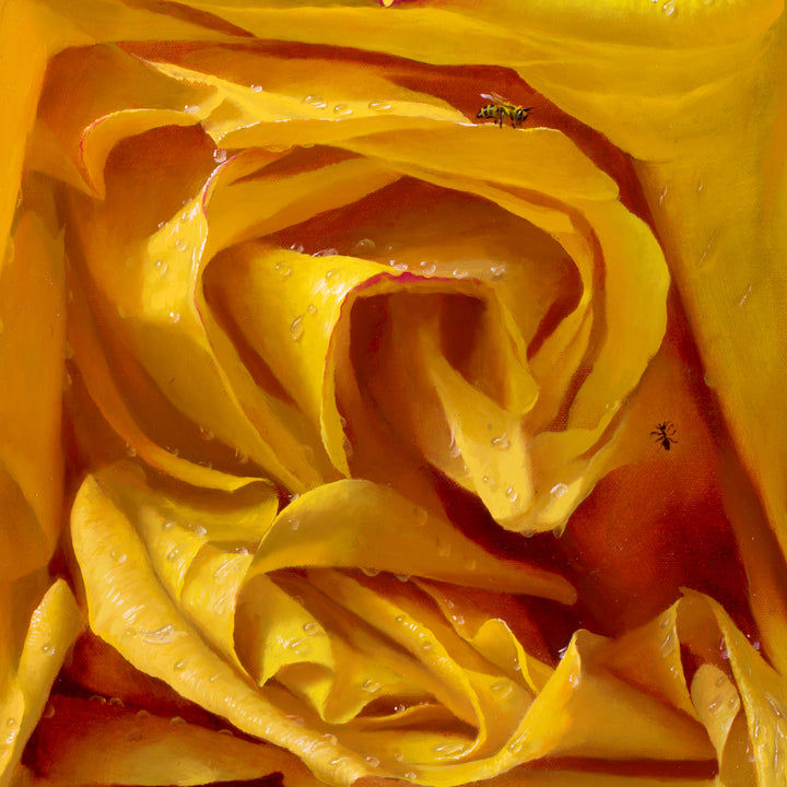 Hors de la boîte