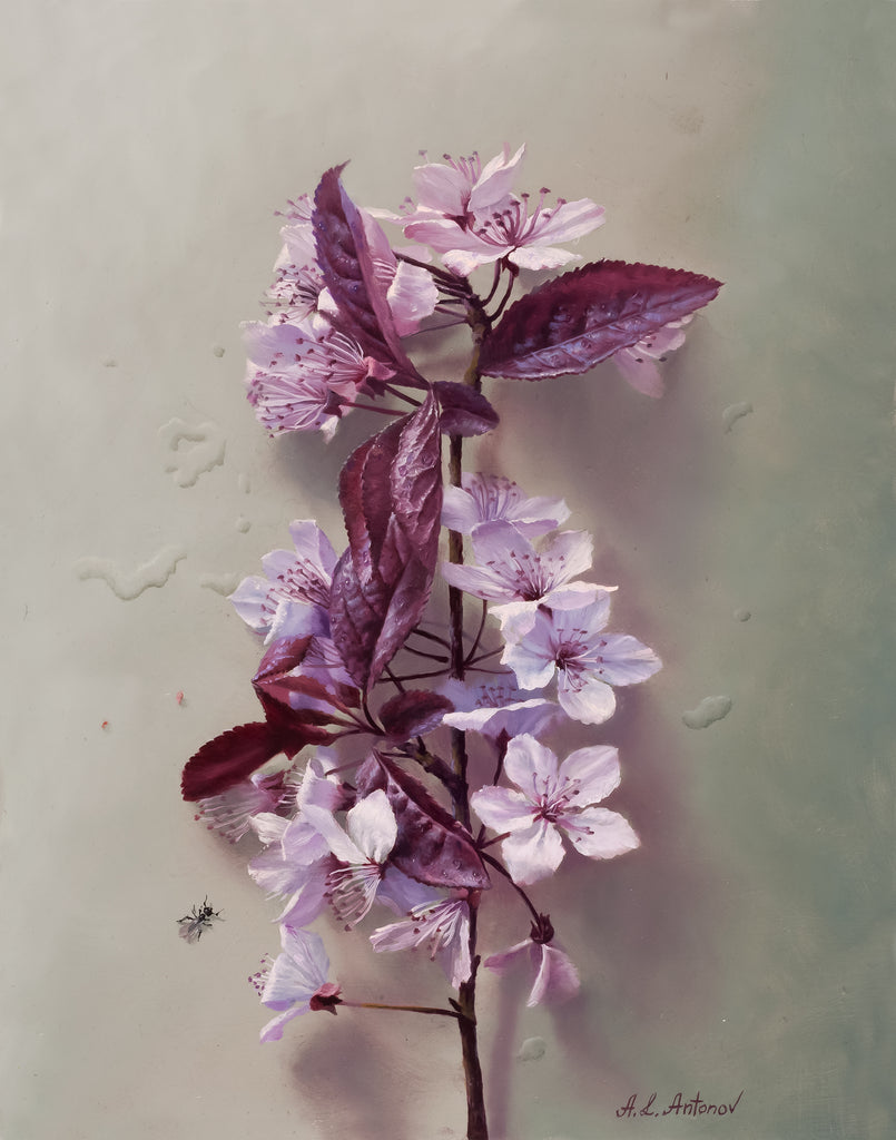 cherry-blossom_1024x1024.jpg?v